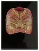 GlassOfVenice Murano Glass Venetian Carnival Mask - Red Bauta