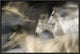 In Motion, 24"x16"