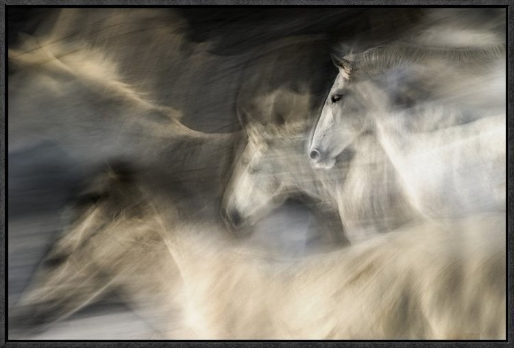 In Motion, 24"x16"