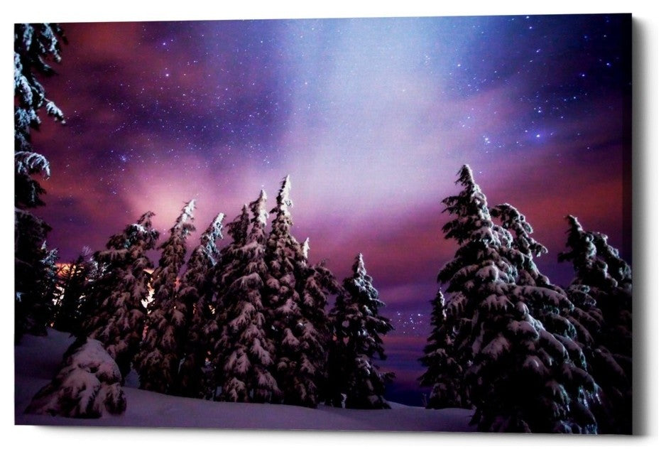 Epic Graffiti "Winter Nights" by Darren White, Giclee Canvas Wall Art, 18"x26"