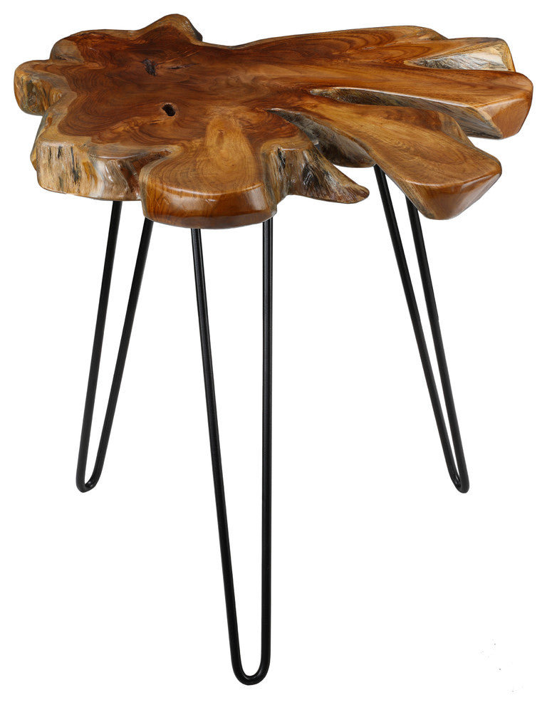 Bare Decor Evan Accent End Table With Solid Teak Root Top