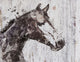 Marmont Hill, "Skylar Horse" by Irena Orlov Painting on Wrapped Canvas, 52x40