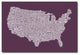 ''US City Map IV'' Canvas Art by Michael Tompsett