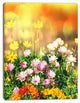 Lovely Multi Color Little Flowers, Floral Canvas Art print, 12"x20"