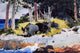 Winslow Homer Bermuda Settlers, 18"x27" Wall Decal