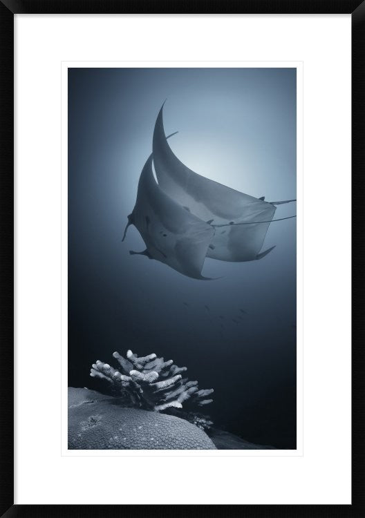 "Sonata" Framed Digital Print by Andrey Narchuk, 21x30"