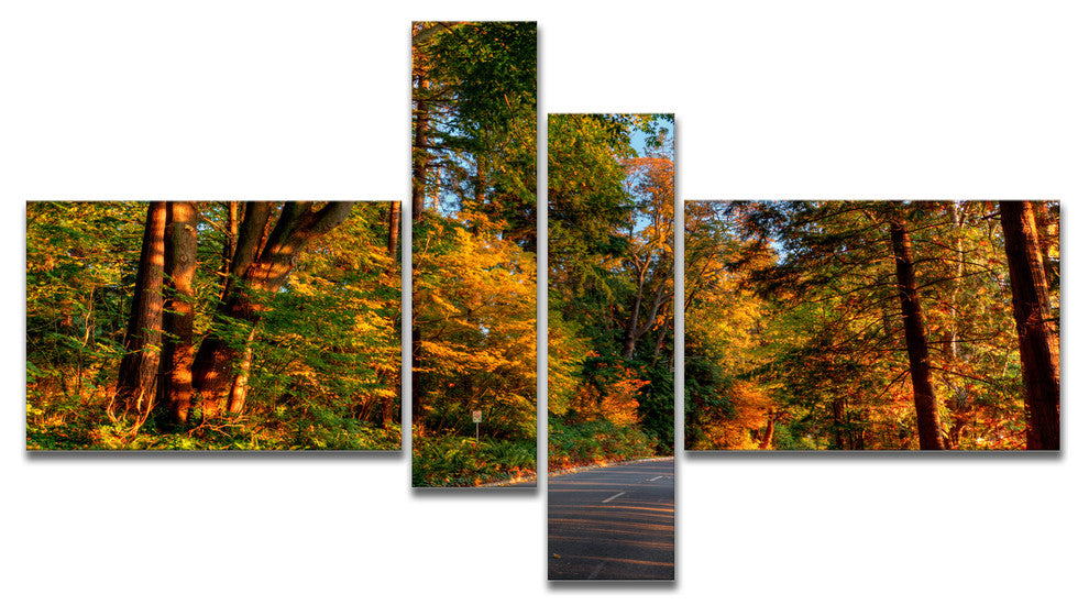 Road through Lit up Fall Forest, Large Landscape Canvas Art, 60"x32", 4 panels