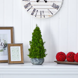 Lifestyle image showing the product in a real home/decor setting.