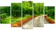 "Pathway in Deep Moss Forest" Landscape Art Print Canvas, 5 Panels, 60"x32"
