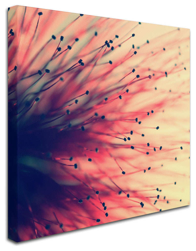 'Into the Future' Canvas Art by Beata Czyzowska Young