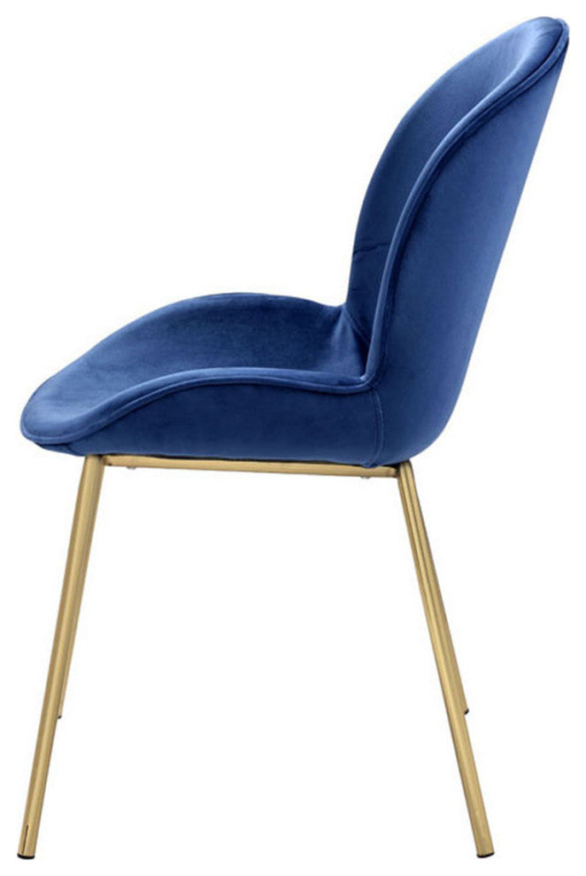 Set of 2 Blue Velvet Side Chair, Blue/Gold