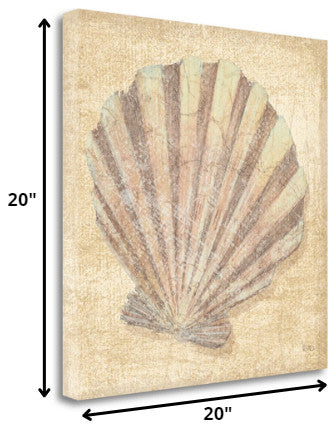 20" Bohemian Pastel Seashell Giclee Wrap Canvas Wall Art