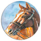 Brown Horse With Bridle, Animal Round Metal Wall Art, 11"