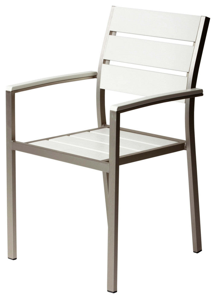 Benzara BM287840 4 Piece Armchairs and 2 Side Chairs Set, Silver Aluminum Frame
