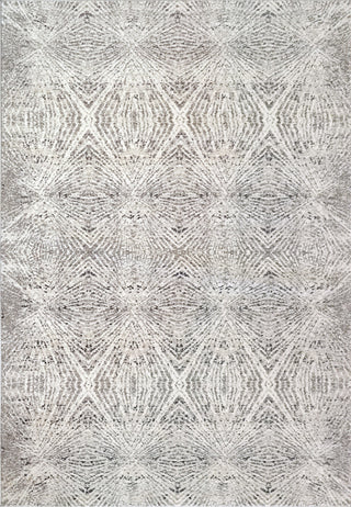 Dynamic Rugs Zen Polyester Area Rug Gray/Multi 3.11X5.7