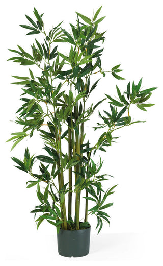 4' Bamboo Silk Plant
