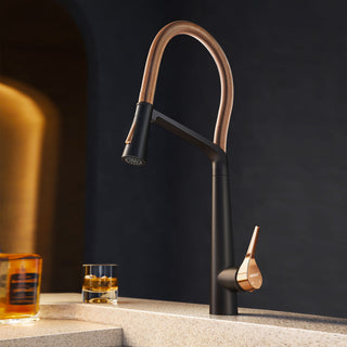 HIGOLD BN2.0 High Arc Spring Kitchen Faucet with Magnetic Technology