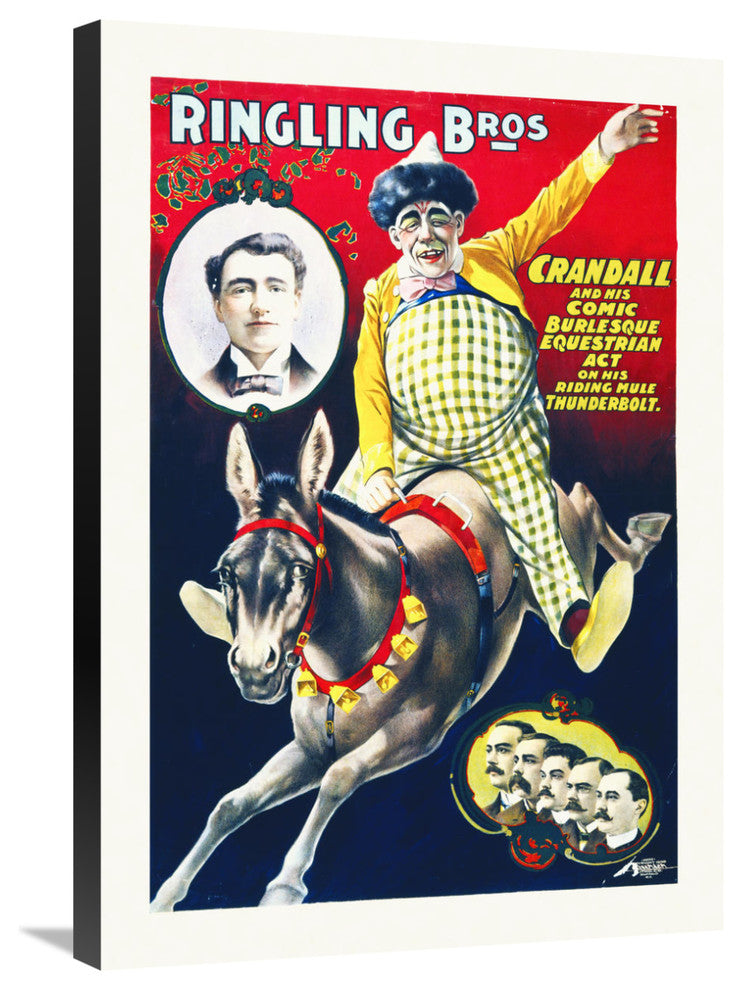 Ringling Bros, Equestrian Act On His Riding Mule Thunderbolt, 21x30