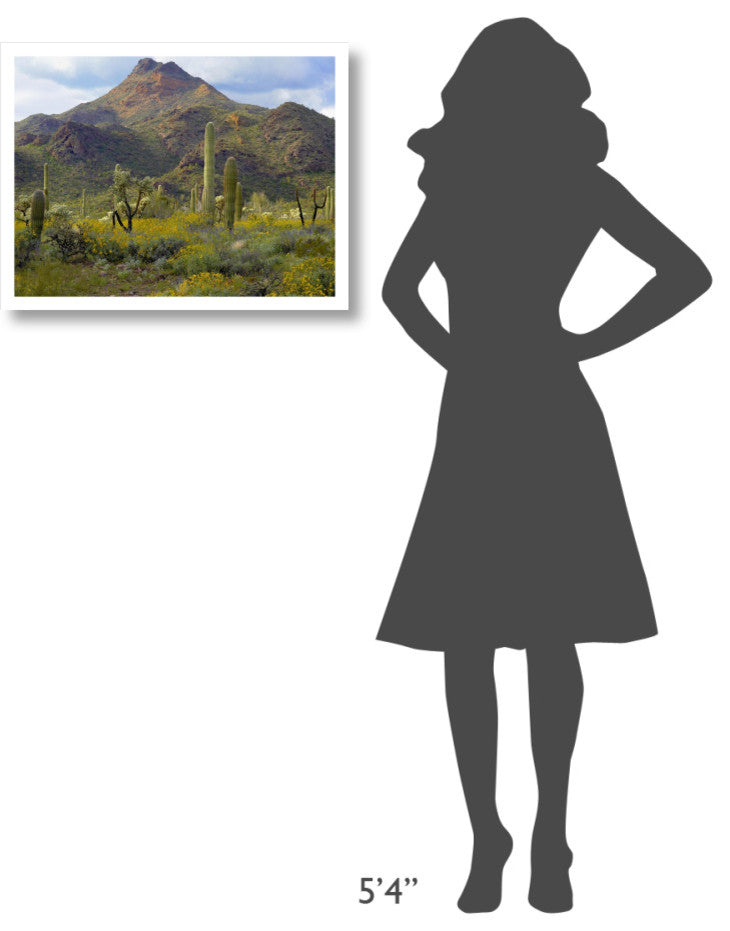 "Saguaro/Teddybear Cholla, Lupine/California Brittlebush" Paper Art, 26"x20"