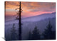 "Sunset Over Forest, Crater Lake National Park, Oregon" Artwork, 40" x 30"