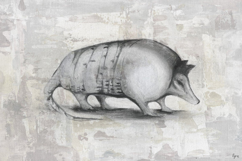 "Armadillo II" Painting Print on Wrapped Canvas, 24"x16"
