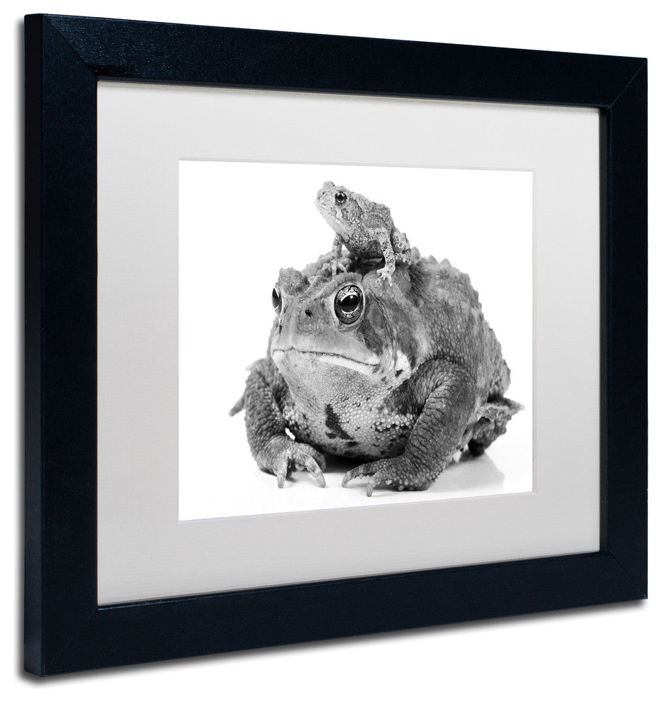 Jason Shaffer ''Two Toads'' Matted Framed Art, Black Frame, White Mat, 14x11