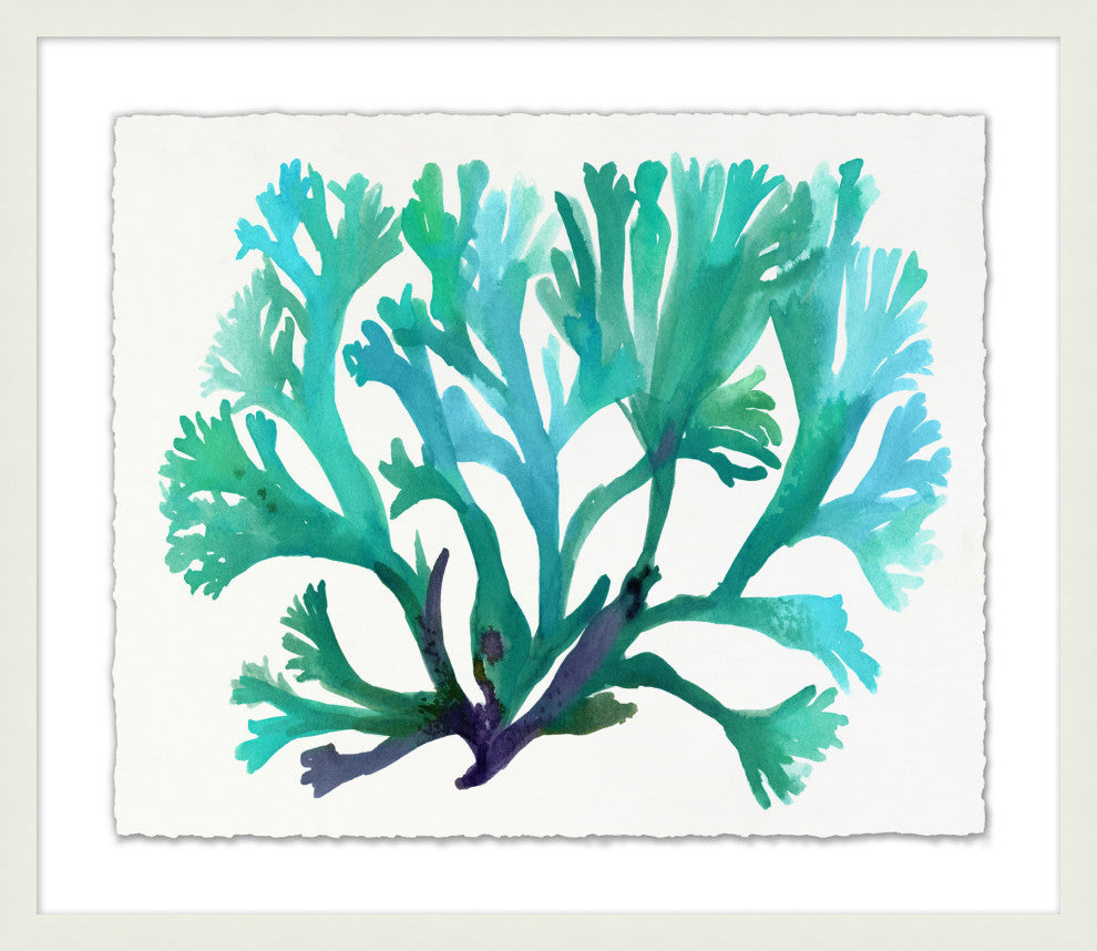 Transparaent Sea Life 2, Giclee Reproduction Artwork