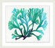 Transparaent Sea Life 2, Giclee Reproduction Artwork