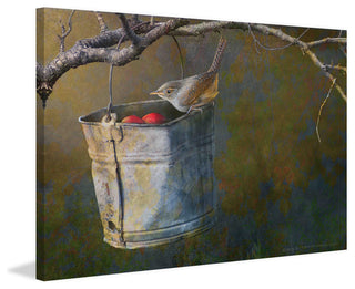 "Apple Bucket Wren" Print on Canvas by Chris Vest