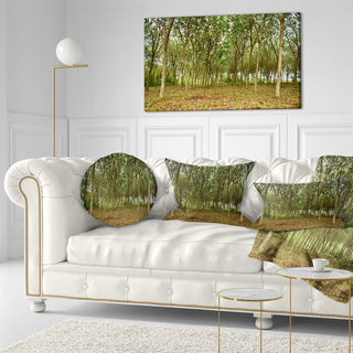 Rubber Tree Plantation During Midday Landscape Printed Throw Pillow, 12"x20"