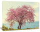 Pink Flowers on Lonely Tree, Landscape Canvas Art Print, 40"x30"