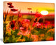 Summer Sunset with Red Poppies, Large Landscape Canvas Art Print, 60"x28"