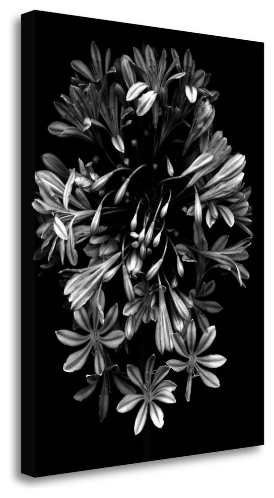 "Floral B - W - 27" By Alan Blaustein, Giclee Print on Gallery Wrap Canvas