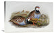 "Red Legged Partridges" Stretched Canvas Giclee by John Gould, 30"x20"