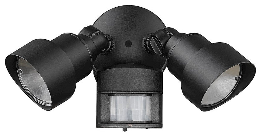 Acclaim Lighting 2-Light 6" LED Flood Light, Matte Black