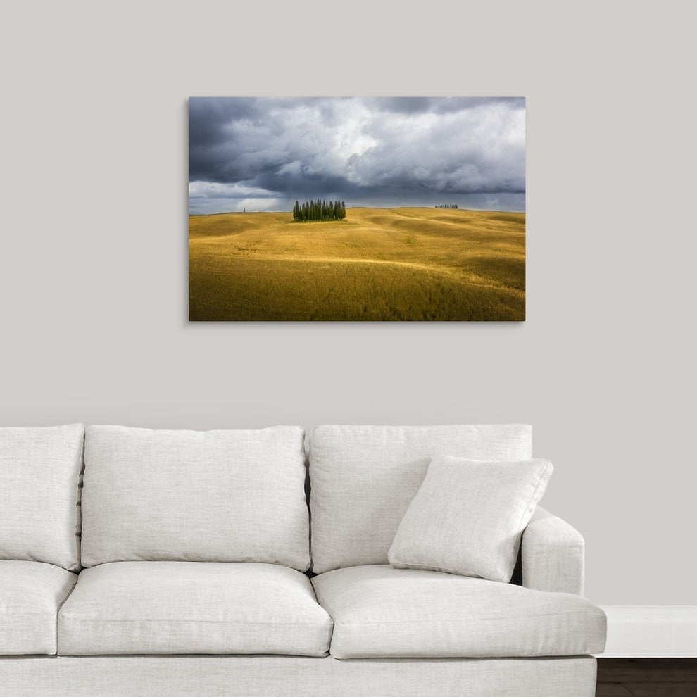 "Wheat And Cypresses In Tuscany" Wrapped Canvas Art Print, 36"x24"x1.5"