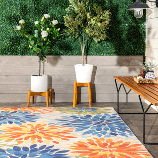 Nuloom Rosana Floral Machine Washable Indoor/Outdoor Area Rug, Multicolor 3'x5'