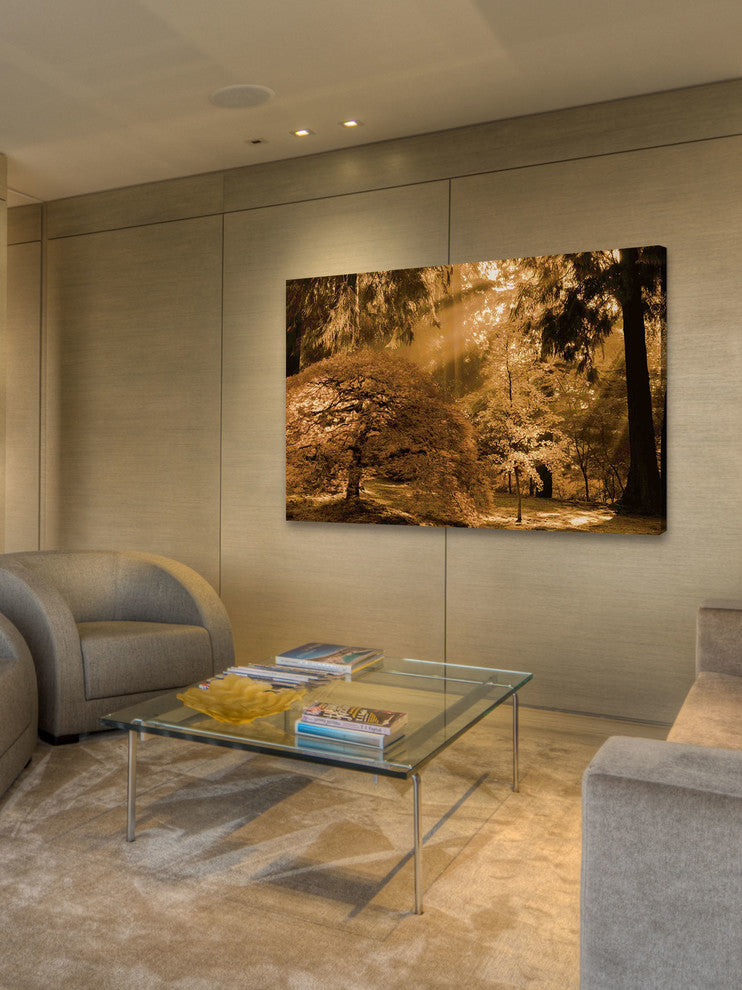 "Bathed in Morning Light" Painting Print on Canvas