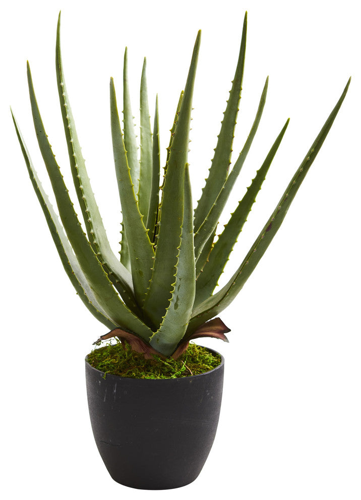 Aloe Artificial Plant, Set of 2