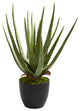 Aloe Artificial Plant, Set of 2