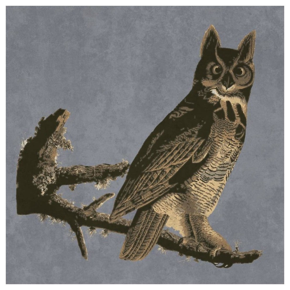 "Audubon Decor - Horned Owl Detail" Digital Paper Print by BG.Studio, 42"x42"