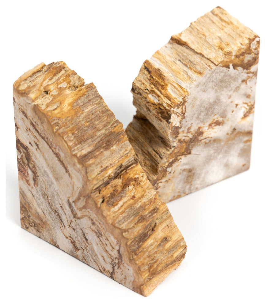 Petrified Wood Book Ends-Light