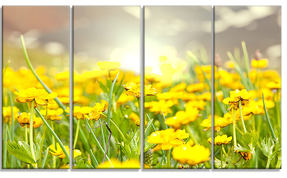 Sunny Meadow with Yellow Flowers, Floral Canvas Art Print, 48"x28", 4 Panels