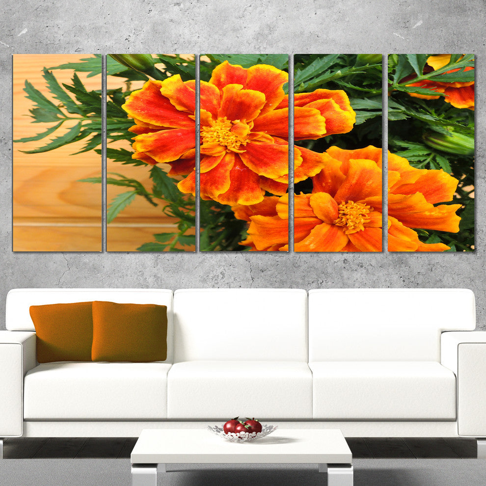 Marigold Flower on Wooden Background, Floral Canvas Art Print, 60"x28", 5 Panels