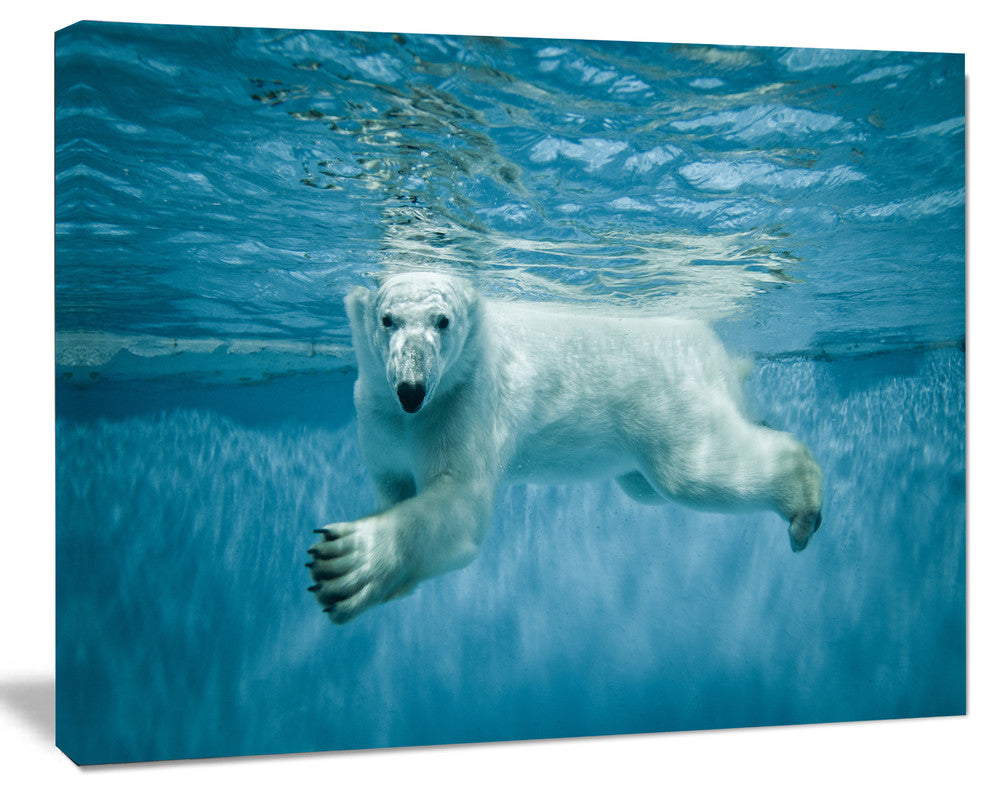Polar Bear Swimming under Water, Large Animal Canvas Artwork, 40"x30"