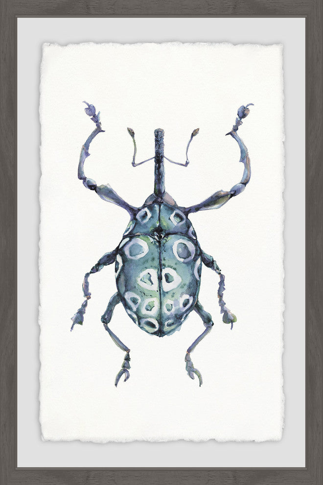 "Blue Beetle" Framed Painting Print, 24"x36"
