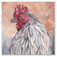 Rust Orange Painted Rooster Portrait Wall Plaque Art, 12"x12"