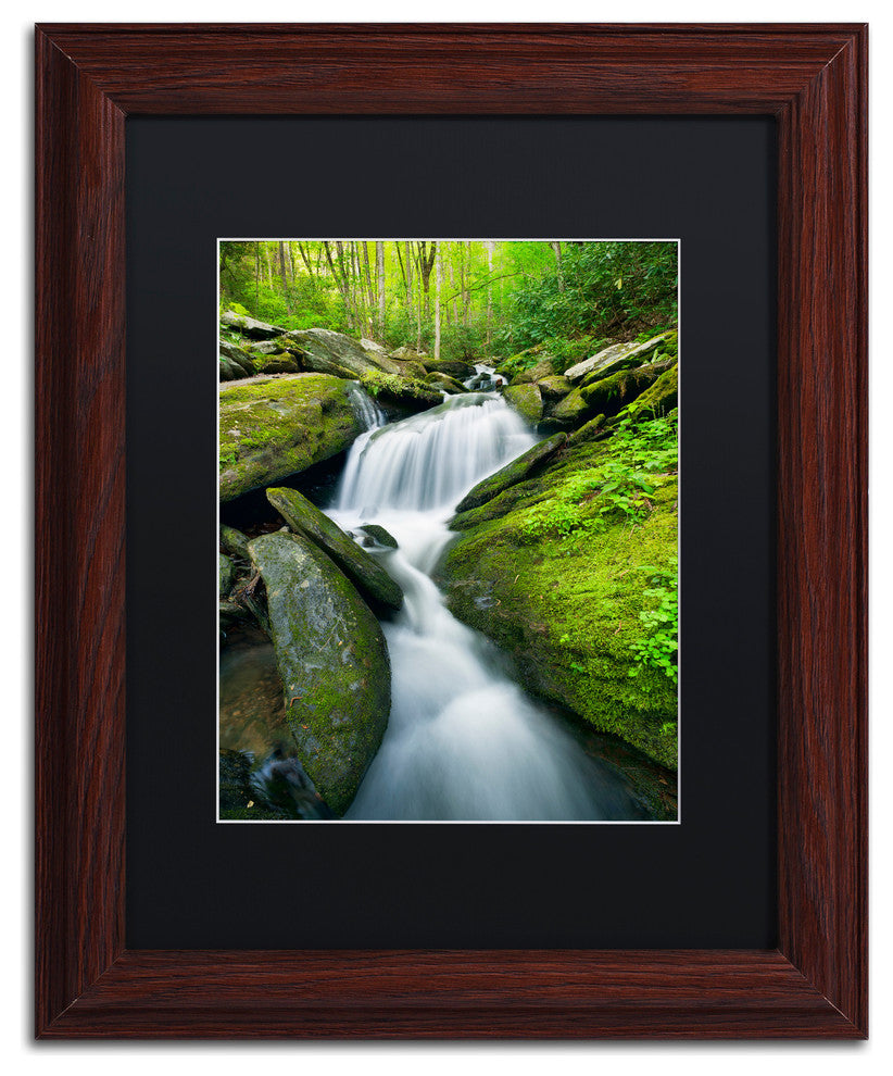 Michael Blanchette 'Cascade Mossy Rocks' Art, Wood Frame, Black Mat, 14x11