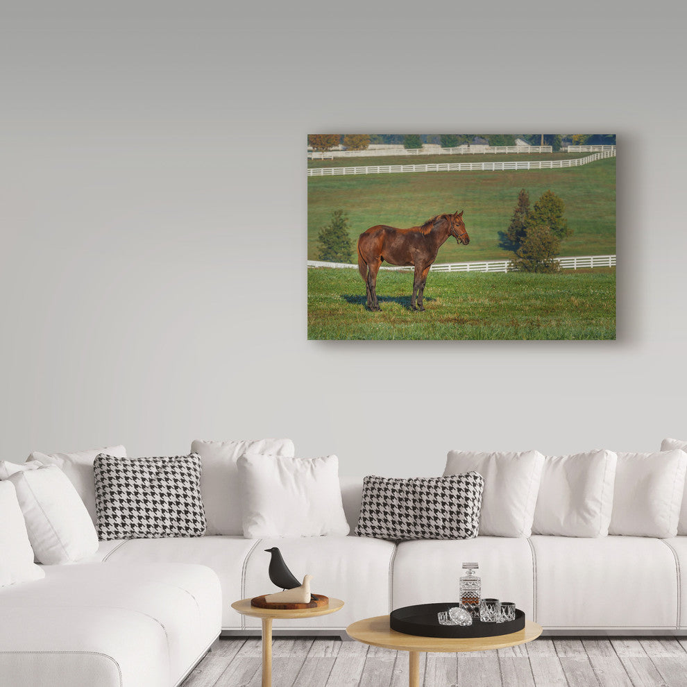 Galloimages Online ''Out Standing In His Field Oil Paint'' Canvas Art, 47"x30"