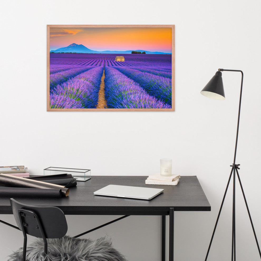 Blooming Lavender Field and Sunset Floral Landscape Framed Photo Wall Art Prints, Red Oak, 24" X 36"